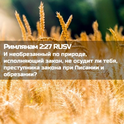 Picture 02 - Римлянам 2:27 RUSV - И необрезанный по природе, - Bible Verse Picture