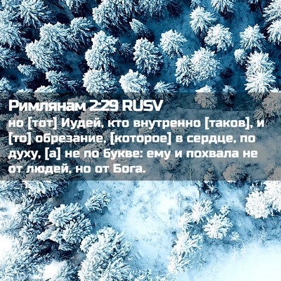 Picture 02 - Римлянам 2:29 RUSV - но [тот] Иудей, кто - Bible Verse Picture