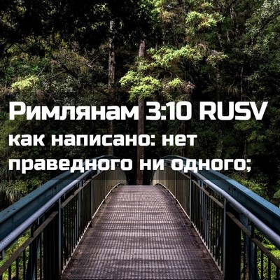 Picture 02 - Римлянам 3:10 RUSV - как написано: нет - Bible Verse Picture