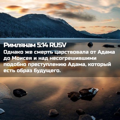Picture 02 - Римлянам 5:14 RUSV - Однако же смерть - Bible Verse Picture