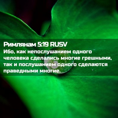 Picture 02 - Римлянам 5:19 RUSV - Ибо, как непослушанием - Bible Verse Picture