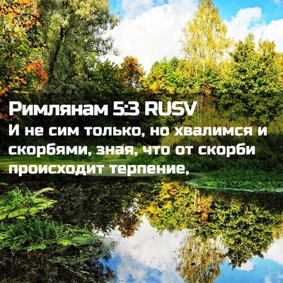 Picture 02 - Римлянам 5:3 RUSV - И не сим только, но - Bible Verse Picture