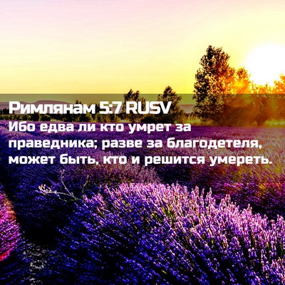 Picture 02 - Римлянам 5:7 RUSV - Ибо едва ли кто умрет за - Bible Verse Picture