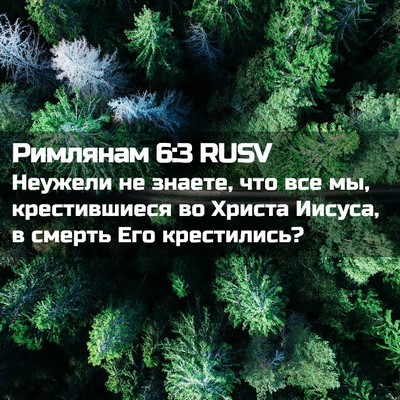 Picture 02 - Римлянам 6:3 RUSV - Неужели не знаете, что все - Bible Verse Picture