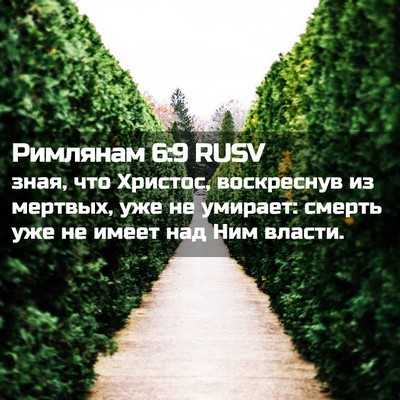 Picture 02 - Римлянам 6:9 RUSV - зная, что Христос, - Bible Verse Picture