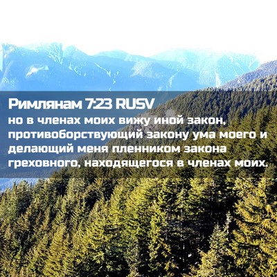 Picture 02 - Римлянам 7:23 RUSV - но в членах моих вижу иной - Bible Verse Picture