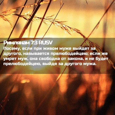 Picture 02 - Римлянам 7:3 RUSV - Посему, если при живом муже - Bible Verse Picture