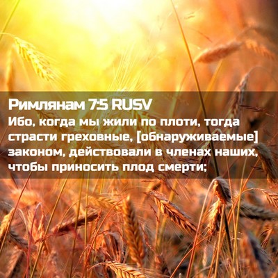 Picture 02 - Римлянам 7:5 RUSV - Ибо, когда мы жили по плоти, - Bible Verse Picture