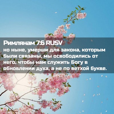 Picture 02 - Римлянам 7:6 RUSV - но ныне, умерши для закона, - Bible Verse Picture