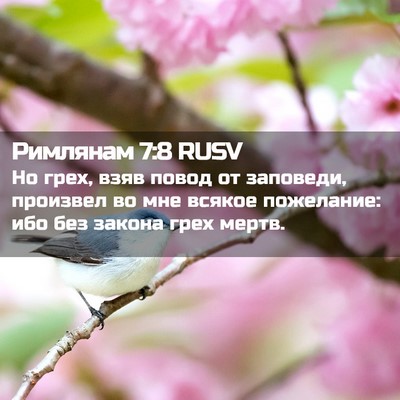 Picture 02 - Римлянам 7:8 RUSV - Но грех, взяв повод от - Bible Verse Picture