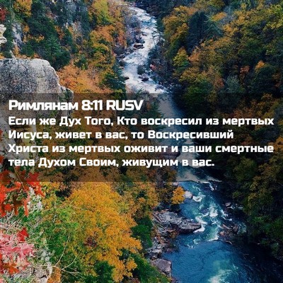 Picture 02 - Римлянам 8:11 RUSV - Если же Дух Того, Кто - Bible Verse Picture