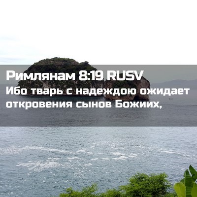 Picture 02 - Римлянам 8:19 RUSV - Ибо тварь с надеждою - Bible Verse Picture