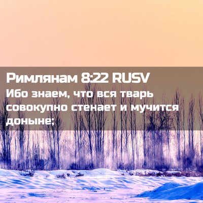 Picture 02 - Римлянам 8:22 RUSV - Ибо знаем, что вся тварь - Bible Verse Picture