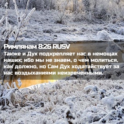 Picture 02 - Римлянам 8:26 RUSV - Также и Дух подкрепляет - Bible Verse Picture