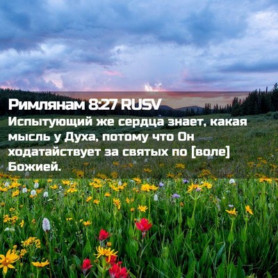 Picture 02 - Римлянам 8:27 RUSV - Испытующий же сердца - Bible Verse Picture