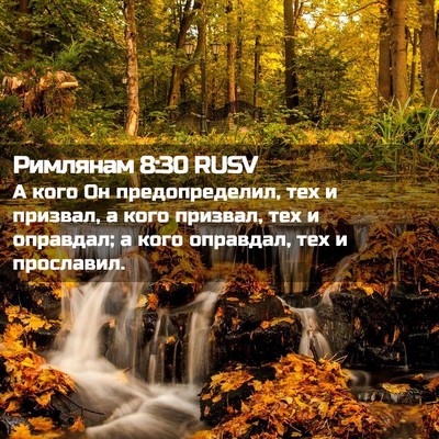 Picture 02 - Римлянам 8:30 RUSV - А кого Он предопределил, - Bible Verse Picture