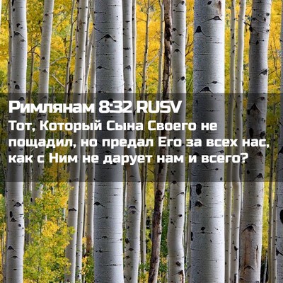 Picture 02 - Римлянам 8:32 RUSV - Тот, Который Сына Своего не - Bible Verse Picture
