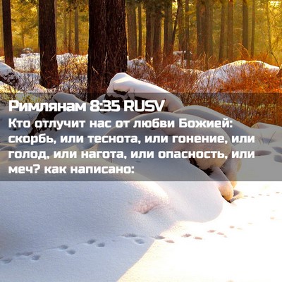 Picture 02 - Римлянам 8:35 RUSV - Кто отлучит нас от любви - Bible Verse Picture