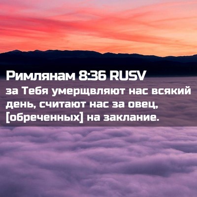 Picture 02 - Римлянам 8:36 RUSV - за Тебя умерщвляют нас - Bible Verse Picture