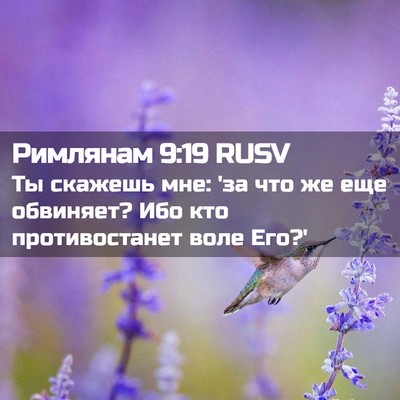 Picture 02 - Римлянам 9:19 RUSV - Ты скажешь мне: 'за что же - Bible Verse Picture