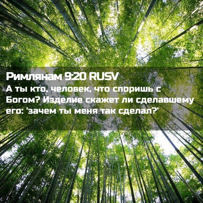 Picture 02 - Римлянам 9:20 RUSV - А ты кто, человек, что - Bible Verse Picture