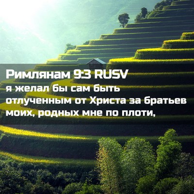 Picture 02 - Римлянам 9:3 RUSV - я желал бы сам быть - Bible Verse Picture