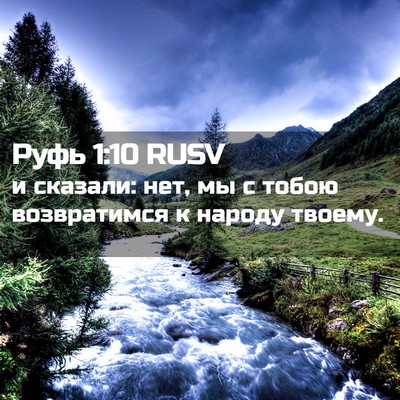 Picture 02 - Руфь 1:10 RUSV - и сказали: нет, мы с тобою - Bible Verse Picture