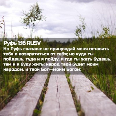 Picture 02 - Руфь 1:16 RUSV - Но Руфь сказала: не - Bible Verse Picture