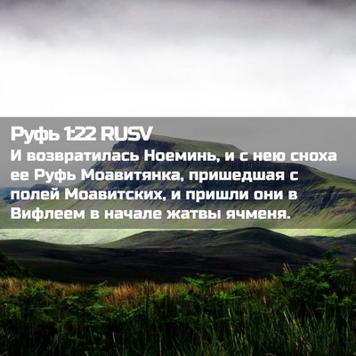 Picture 02 - Руфь 1:22 RUSV - И возвратилась Ноеминь, и с - Bible Verse Picture