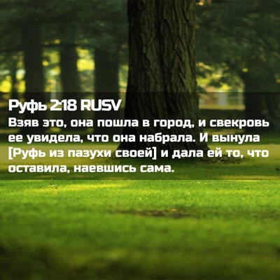 Picture 02 - Руфь 2:18 RUSV - Взяв это, она пошла в город, - Bible Verse Picture