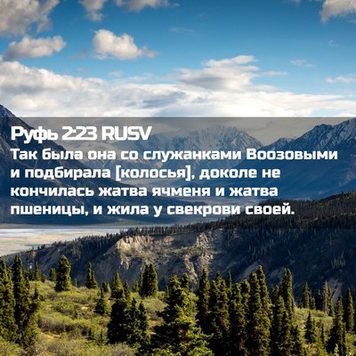 Picture 02 - Руфь 2:23 RUSV - Так была она со служанками - Bible Verse Picture