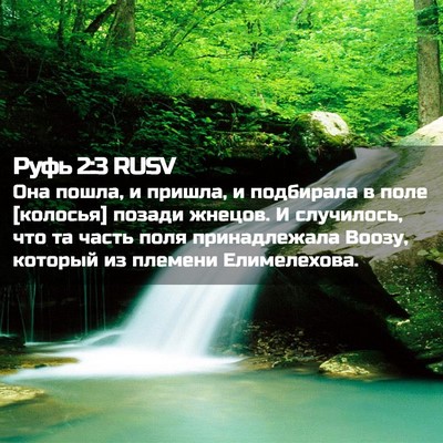 Picture 02 - Руфь 2:3 RUSV - Она пошла, и пришла, и - Bible Verse Picture