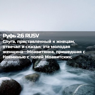 Picture 02 - Руфь 2:6 RUSV - Слуга, приставленный к - Bible Verse Picture