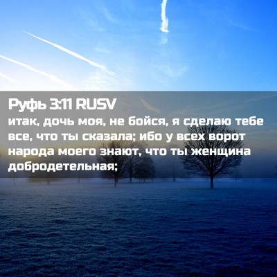 Picture 02 - Руфь 3:11 RUSV - итак, дочь моя, не бойся, я - Bible Verse Picture