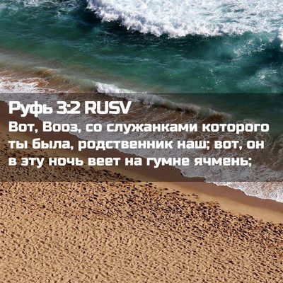 Picture 02 - Руфь 3:2 RUSV - Вот, Вооз, со служанками - Bible Verse Picture