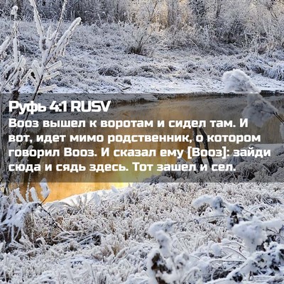 Picture 02 - Руфь 4:1 RUSV - Вооз вышел к воротам и - Bible Verse Picture