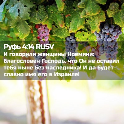 Picture 02 - Руфь 4:14 RUSV - И говорили женщины - Bible Verse Picture