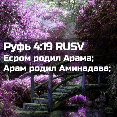 Picture 02 - Руфь 4:19 RUSV - Есром родил Арама; Арам - Bible Verse Picture