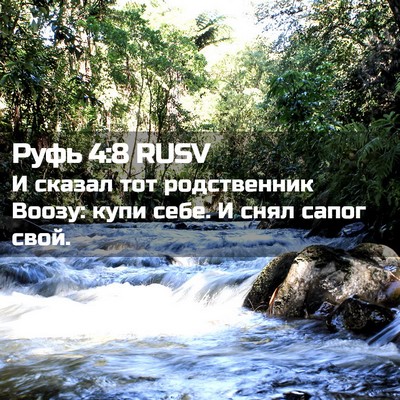 Picture 02 - Руфь 4:8 RUSV - И сказал тот родственник - Bible Verse Picture