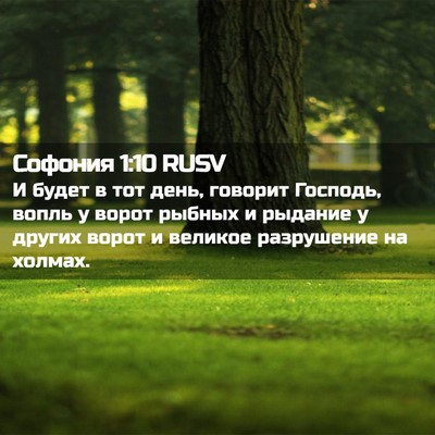 Picture 02 - Софония 1:10 RUSV - И будет в тот день, говорит - Bible Verse Picture