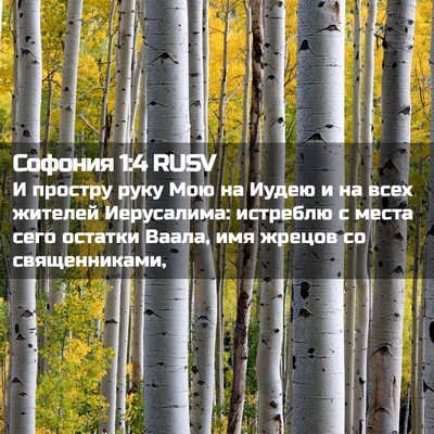 Picture 02 - Софония 1:4 RUSV - И простру руку Мою на Иудею - Bible Verse Picture