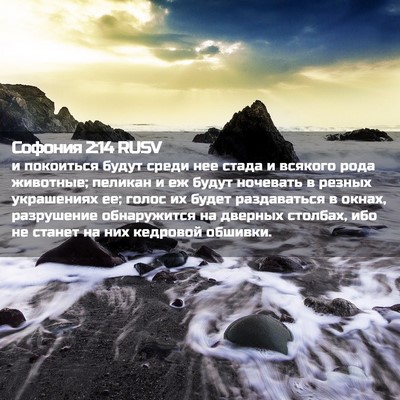 Picture 02 - Софония 2:14 RUSV - и покоиться будут среди - Bible Verse Picture