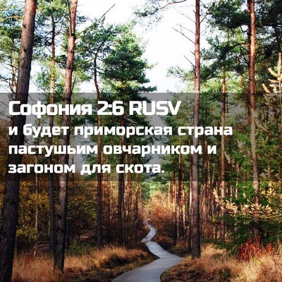Picture 02 - Софония 2:6 RUSV - и будет приморская страна - Bible Verse Picture