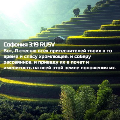 Picture 02 - Софония 3:19 RUSV - Вот, Я стесню всех - Bible Verse Picture
