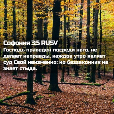 Picture 02 - Софония 3:5 RUSV - Господь праведен посреди - Bible Verse Picture