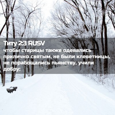 Picture 02 - Титу 2:3 RUSV - чтобы старицы также - Bible Verse Picture