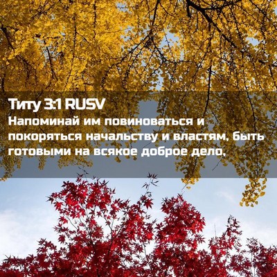 Picture 02 - Титу 3:1 RUSV - Напоминай им повиноваться - Bible Verse Picture