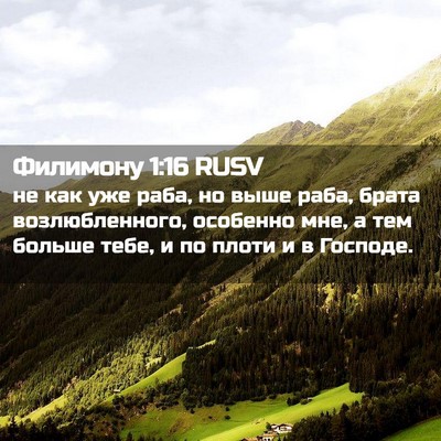 Picture 02 - Филимону 1:16 RUSV - не как уже раба, но выше - Bible Verse Picture