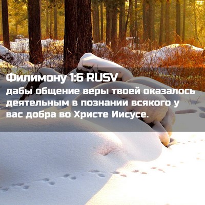 Picture 02 - Филимону 1:6 RUSV - дабы общение веры твоей - Bible Verse Picture