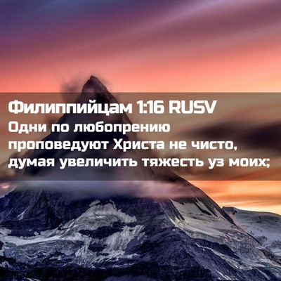 Picture 02 - Филиппийцам 1:16 RUSV - Одни по любопрению - Bible Verse Picture